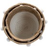 Set of 2 Natural Cattail Decorative Storage Baskets with Pom Poms - Foreside Home & Garden - 3 of 4