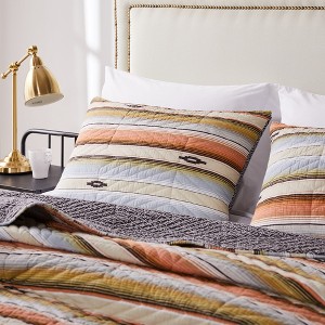 Greenland Home Fashions 1912AS Painted Desert Rose Standard Sham, 20x26 Inches - 1 of 3