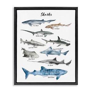 Stupell Industries Shark Chart Watercolor Marine Animals Floating Frame Canvas Art, Black, 25" x 31" - 1 of 4