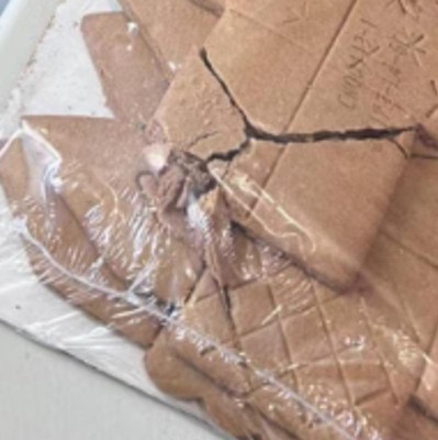 Guest review image 1 of 1, zoom in