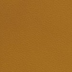 texas tech red raiders