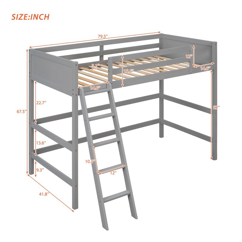 Twin Size Wood Loft Bed with Ladder-ModernLuxe, 3 of 9