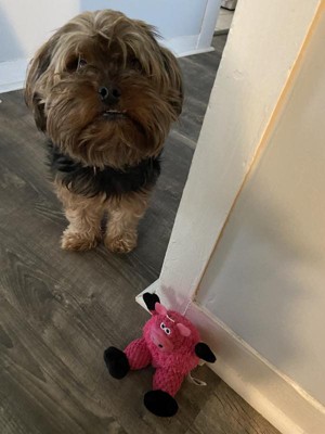 Guest review image 2 of 2, zoom in