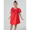 2Bunnies Girls Shimmer Babydoll Christmas Princess Flower Girl Dress - 4 of 4