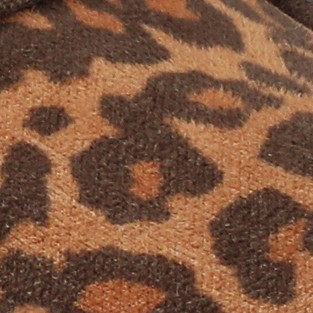 leopard/camel
