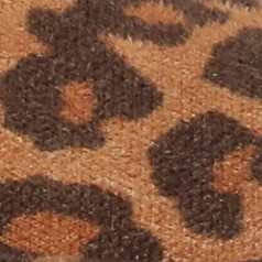 leopard/camel