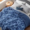 Bedsure- Cloud Soft PV Blanket ,Comfy Plush and Furry Faux Fur - 2 of 4