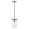 Robert Stevenson Lighting Atwood Modern Minimalist Glass and Metal Ceiling Light Brushed Bronze: ETL Listed, 60W E26, Clear Shade - 3 of 4