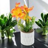 Unique Bargains Artificial Plants Five-Headed Daffodil Bonsai Plastic 2.76"x2.76"x9.45" 1 Pcs - 2 of 4