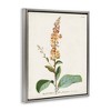 Stupell Industries Scientific Botanical Plant Floating Frame Canvas Art - 2 of 4