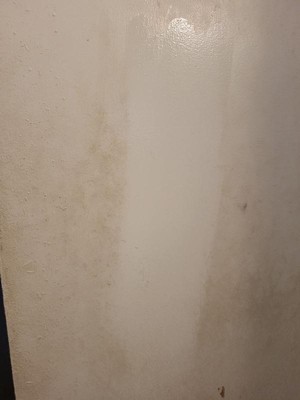 Guest review image 1 of 2, zoom in