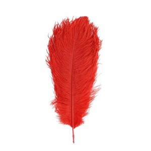 12-Piece Genuine Ostrich Feathers – 13
