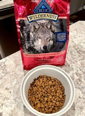 Blue buffalo salmon hotsell dog food reviews