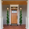 Northlight Real Touch™ Pre-Lit Artificial Cedar Spiral Topiary Tree, Clear Lights - 5.5' - 2 of 4