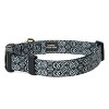 Country Brook Petz Deluxe Dog Collar - Abstract Collection - Made In The U.S.A. - 2 of 4