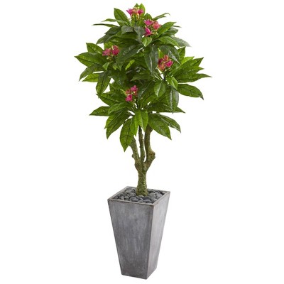 5.5' Plumeria Artificial Tree in Gray Planter - Nearly Natural