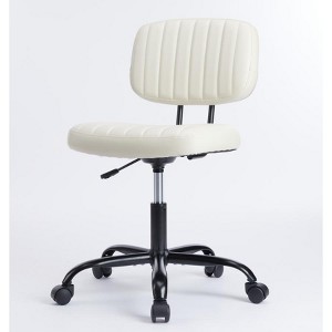 DOMETOUR Adjustable Height 360° Rolling Swivel Computer Task Chair without Arm - 1 of 4