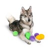 Midlee Squeaky and Crinkley Plush Dog Balls (Refill for Midlee Hide a Ball) - 2 of 4