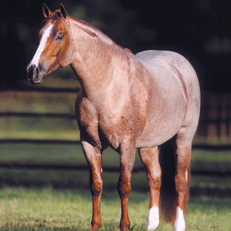 Breyer Animal Creations Breyer Traditional 1:9 Scale Model Horse | Peptoboonsmal | Champion Cutting Horse, 3 of 5