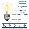 Novelty Lights Warm White Plastic G50 Globe Hanging LED String Light Replacement Bulbs E26 Medium Base 1 Watt - 3 of 4