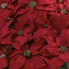 Giant Poinsettia Arrangement with Decorative Planter - Nearly Natural - image 2 of 3