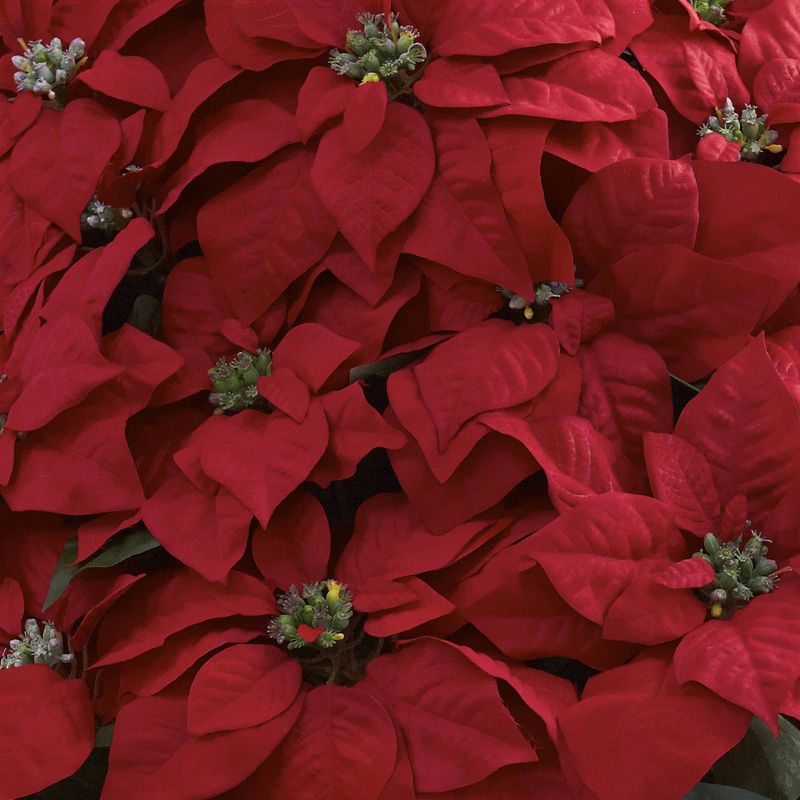 Giant Poinsettia Arrangement with Decorative Planter - Nearly Natural, 3 of 5
