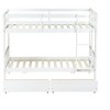 NicBex Twin over Twin Bunk Bed Wooden Bed Frame with 2 Drawers, Ladder and Full Length Guardrail, Space Saving, No Box Spring Required - 3 of 4