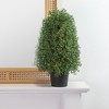 Northlight Pre-Lit Artificial Boxwood Cone Topiary Tree with Round Pot - 18" - Clear Lights - 2 of 4