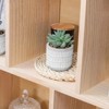 BRINJOY 4-Pack Artificial Succulent Plants - Mini Faux Succulents in Ceramic Pots for Home Office Decor - 4 of 4