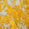 Nearly Natural 5-ft Autumn Maple Artificial Fall Tree - 3 of 4