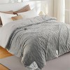 North American Version Comfort Cotton Flannel Electric Blanket ¨C Wireless RF Temperature Control, Large Size for Immersive Home Warmth - 2 of 4