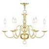 Livex Lighting Williamsburgh 6 - Light Chandelier in  Polished Brass - 2 of 2