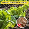 Large Size Galvanized Hexagonal Floral Green Chicken Wire, Outdoor Anti-Rust Chicken Wire Poultry Netting for Garden, Large Chicken Coop Wire Fencing - 3 of 4