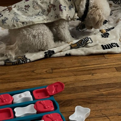 Nina Ottosson by Outward Hound Interactive Treat Puzzle Game Dog Toys Level  2 (Intermediate) Teal,Red, White and Brown