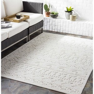 Hauteloom Treuddyn Outdoor Rug - 1 of 4