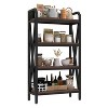 Sapphtopaz 4-Tier Storage Rack with Metal Frame & Wood Shelf Kitchen Organizers and Storage Versatile Garage Shelving for Warehouses,Black/Brown - 3 of 4