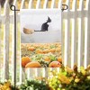 Evergreen Garden Flag Flying Cat Suede Double Sided Indoor Outdoor Decor 18" x 12.5" - 2 of 2