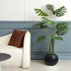 10.2" H x 13.5" Dia (10" Opening) Round Self-Watering Indoor Plant Pots with Drainage & Water Level Monitor, White Dot Design - 4 of 4