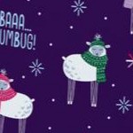 rich violet sheep