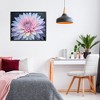 Stupell Industries Dew Kissed Pink Chrysanthemum Framed Giclee Art - 3 of 4