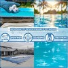 Poolzilla Replacement Weir Flap Assembly - Compatible with Hayward Automatic Skimmers, SP1082, SP1083, SP1084, SP1085, SP1086, SPX1082K - 4 of 4