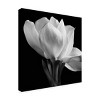 Trademark Fine Art - Michael Harrison 'Gardenia' Matted Framed Art - 4 of 4