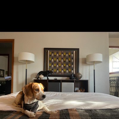 Guest review image 1 of 3, zoom in