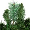 Northlight Cashmere Mixed Pine Artificial Christmas Wreath - 24" - Unlit - 4 of 4
