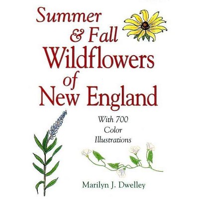 Summer & Fall Wildflowers of New England - 2nd Edition by  Marilyn Dwelley (Paperback)