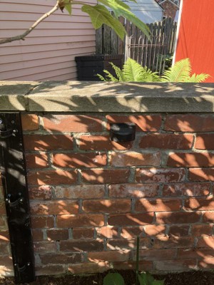 Guest review image 2 of 5, zoom in