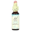 Bach Original Flower Remedies, Vervain, 0.35 fl oz (10 ml) - 3 of 4