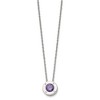 Chisel Stainless Steel Cubic Zirconia February Birthstone Circle Pendant on a 20" Multi-Link Chain Necklace - 4 of 4