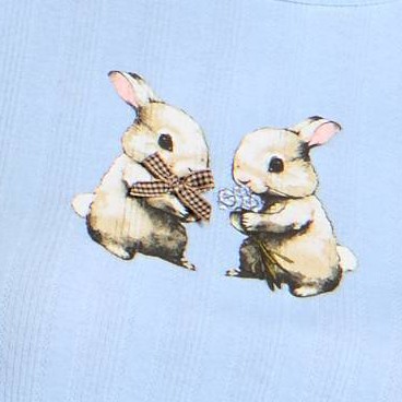Blue Bunny