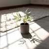 Textured Black Stoneware Planter by Foreside Home & Garden - 2 of 4